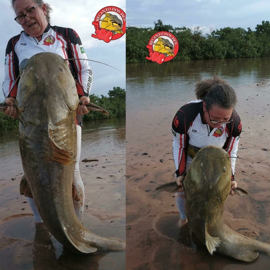 Imagem de compartilhamento para o artigo Não é história! Pescadora captura jaú de quase 80 kg no Recanto dos Jaús, em Alcinópolis da MS Todo dia